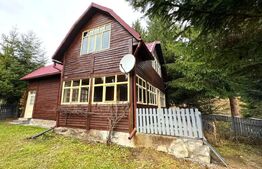 VAND CASA DE VACANTA LA COLIBITA, CU VEDERE SPRE LAC