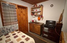 VAND CASA DE VACANTA LA COLIBITA, CU VEDERE SPRE LAC