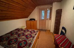 VAND CASA DE VACANTA LA COLIBITA, CU VEDERE SPRE LAC