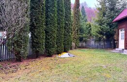 VAND CASA DE VACANTA LA COLIBITA, CU VEDERE SPRE LAC