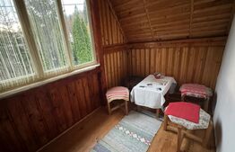 VAND CASA DE VACANTA LA COLIBITA, CU VEDERE SPRE LAC