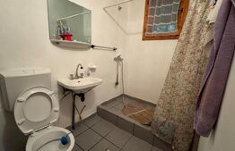 VAND CASA DE VACANTA LA COLIBITA, CU VEDERE SPRE LAC