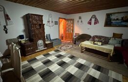 VAND CASA DE VACANTA LA COLIBITA, CU VEDERE SPRE LAC