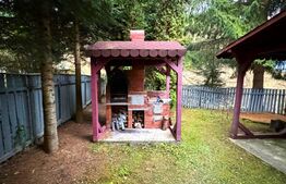 VAND CASA DE VACANTA LA COLIBITA, CU VEDERE SPRE LAC