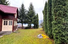 VAND CASA DE VACANTA LA COLIBITA, CU VEDERE SPRE LAC