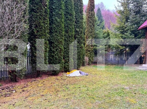 Casa de vânzare 4 camere Colibiţa - 182140CV | BLITZ Bistriţa | Poza6