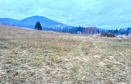 VAND 2500 MP DE TEREN INTRAVILAN LA COLIBITA