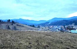 VAND 2500 MP DE TEREN INTRAVILAN LA COLIBITA