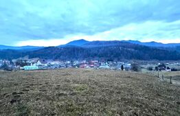 VAND 2500 MP DE TEREN INTRAVILAN LA COLIBITA