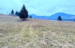 VAND 2500 MP DE TEREN INTRAVILAN LA COLIBITA