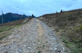 VAND 2500 MP DE TEREN INTRAVILAN LA COLIBITA