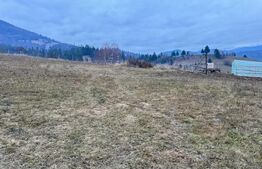 VAND 2500 MP DE TEREN INTRAVILAN LA COLIBITA