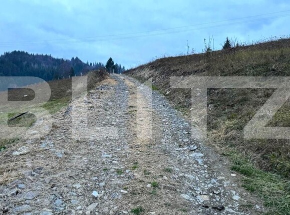 Teren de vânzare Colibiţa - 182142TV | BLITZ Bistriţa | Poza8