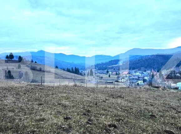 Teren de vânzare Colibiţa - 182142TV | BLITZ Bistriţa | Poza7