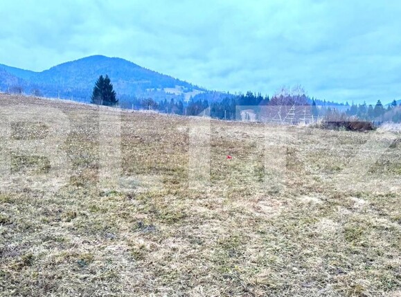 Teren de vânzare Colibiţa - 182142TV | BLITZ Bistriţa | Poza5