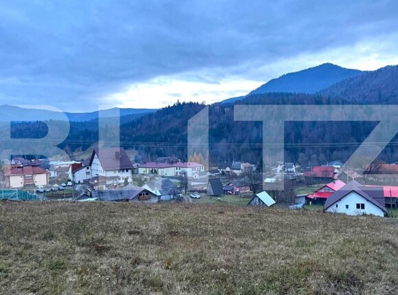 Teren de vânzare Colibiţa - 182142TV | BLITZ Bistriţa | Poza3