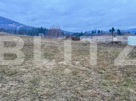 Teren de vânzare Colibiţa - 182142TV | BLITZ Bistriţa | Poza6