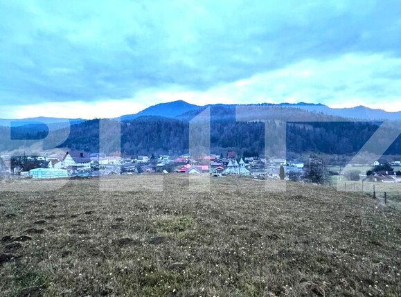 Teren de vânzare Colibiţa - 182142TV | BLITZ Bistriţa | Poza1