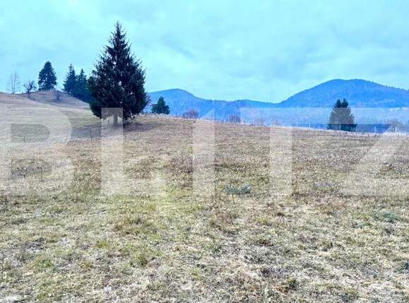 Teren de vânzare Colibiţa - 182142TV | BLITZ Bistriţa | Poza4