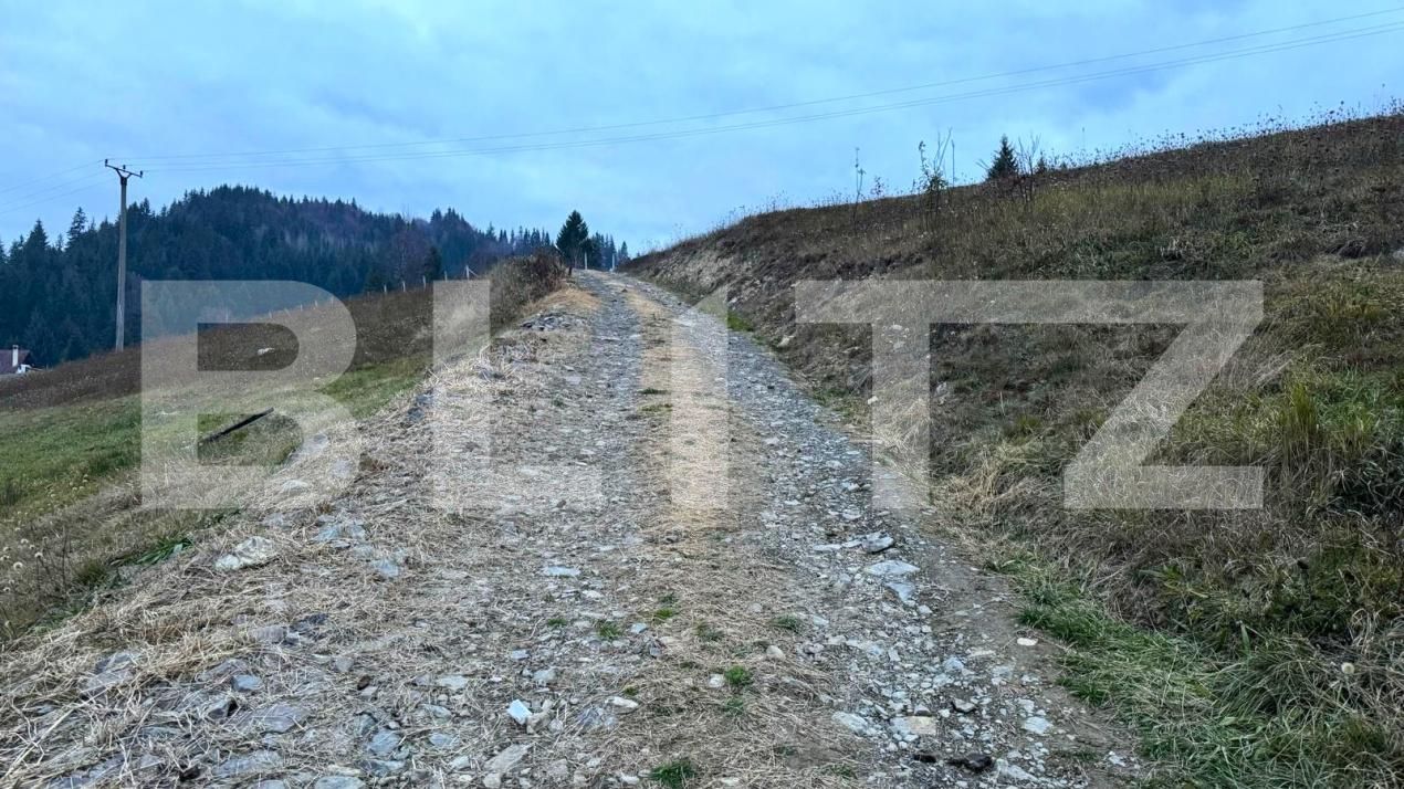 Teren de vânzare Colibiţa - 182142TV | BLITZ Bistriţa | Poza8