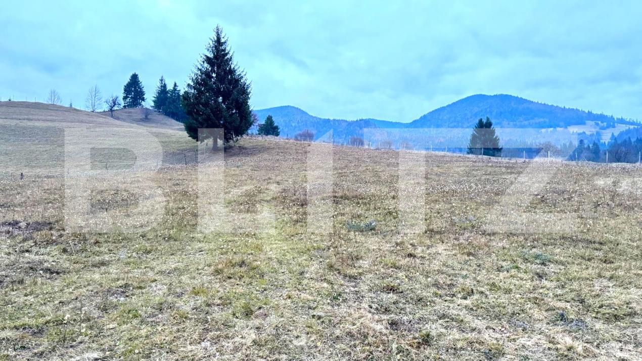 Teren de vânzare Colibiţa - 182142TV | BLITZ Bistriţa | Poza4