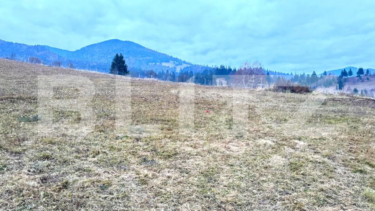 Teren de vânzare Colibiţa - 182142TV | BLITZ Bistriţa | Poza5