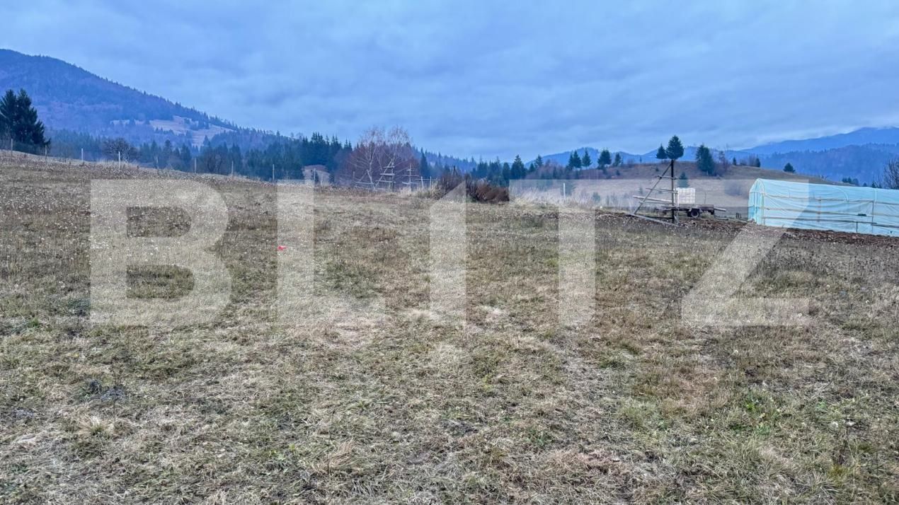 Teren de vânzare Colibiţa - 182142TV | BLITZ Bistriţa | Poza6