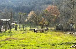 VAND CASA SI TEREN IN ARCALIA, CU TOATE UTILITATILE SI 19 ARI DE TEREN 