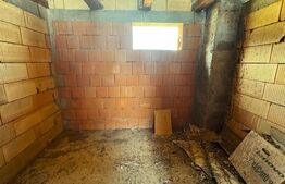 VAND CASA SI TEREN IN ARCALIA, CU TOATE UTILITATILE SI 19 ARI DE TEREN 