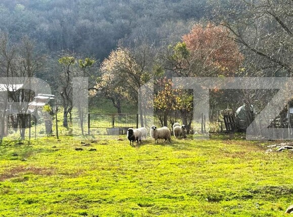 Casa de vânzare 5 camere Arcalia - 182162CV | BLITZ Bistriţa | Poza6