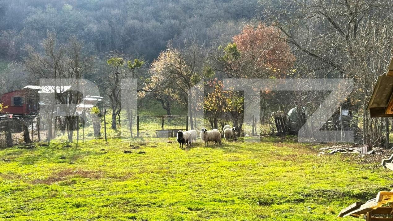 Casa de vânzare 5 camere Arcalia - 182162CV | BLITZ Bistriţa | Poza6