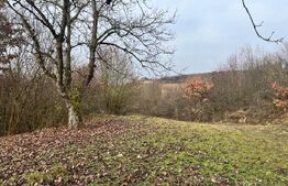 Teren extravilan, 4 hectare, langa livada de mere Ghinda 