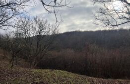 Teren extravilan, 4 hectare, langa livada de mere Ghinda 