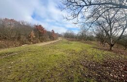 Teren extravilan, 4 hectare, langa livada de mere Ghinda 