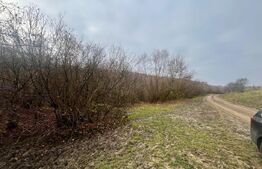 Teren extravilan, 4 hectare, langa livada de mere Ghinda 