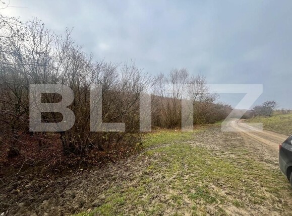 Teren de vânzare Exterior Est - 182197TV | BLITZ Bistriţa | Poza3
