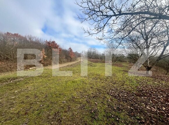 Teren de vânzare Exterior Est - 182197TV | BLITZ Bistriţa | Poza1