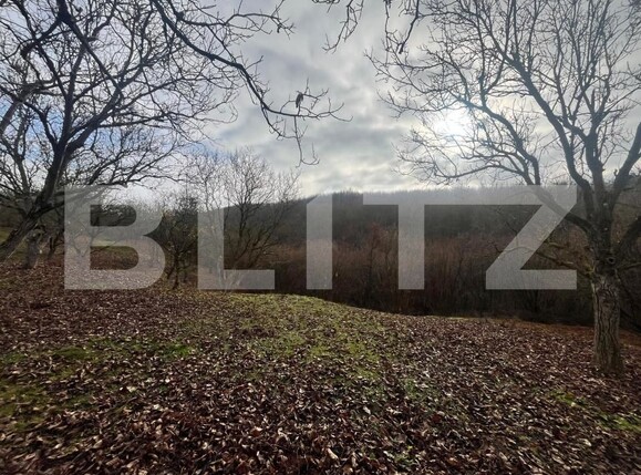 Teren de vânzare Exterior Est - 182197TV | BLITZ Bistriţa | Poza4