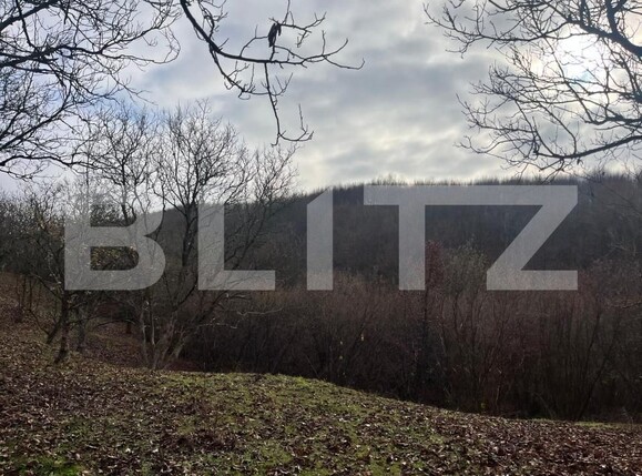 Teren de vânzare Exterior Est - 182197TV | BLITZ Bistriţa | Poza6