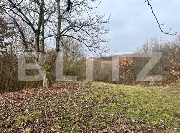 Teren de vânzare Exterior Est - 182197TV | BLITZ Bistriţa | Poza5