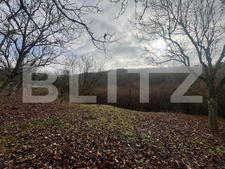 Teren de vânzare Exterior Est - 182197TV | BLITZ Bistriţa | Poza4