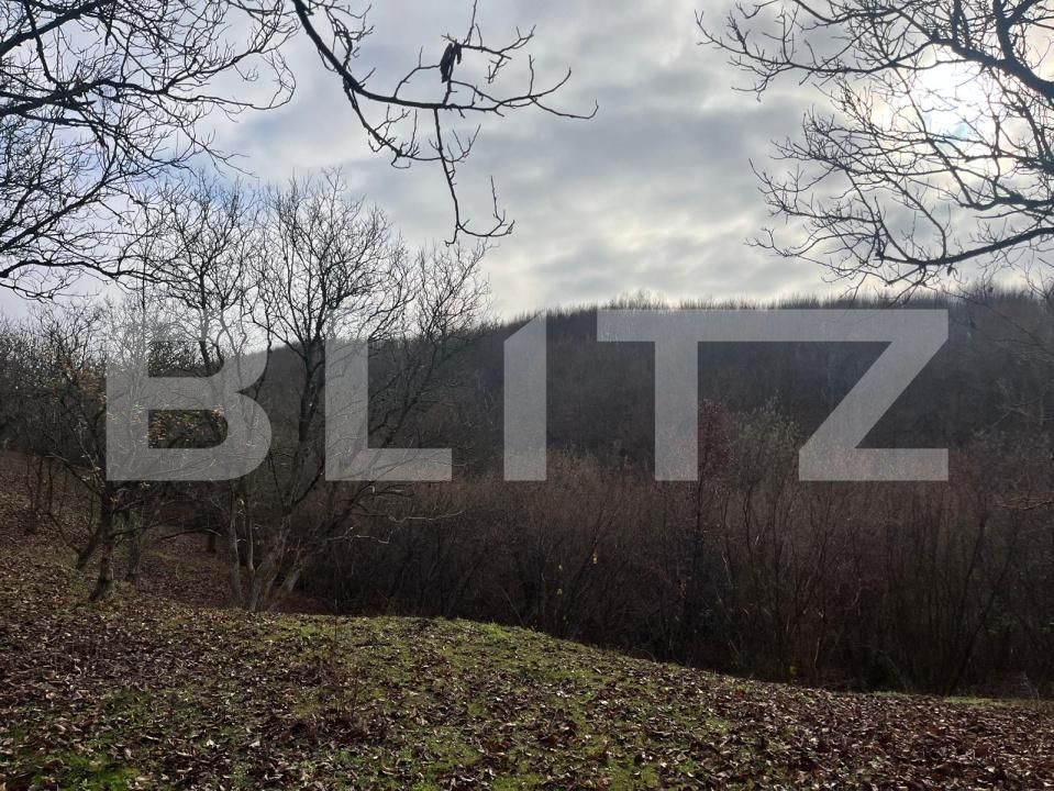 Teren de vânzare Exterior Est - 182197TV | BLITZ Bistriţa | Poza6