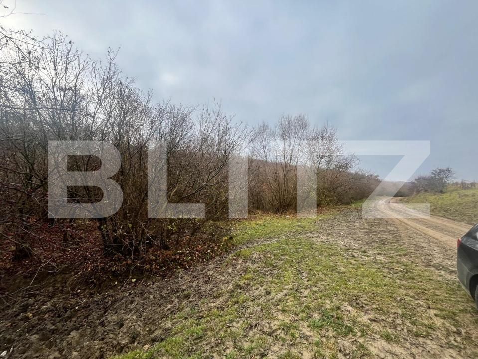 Teren de vânzare Exterior Est - 182197TV | BLITZ Bistriţa | Poza3