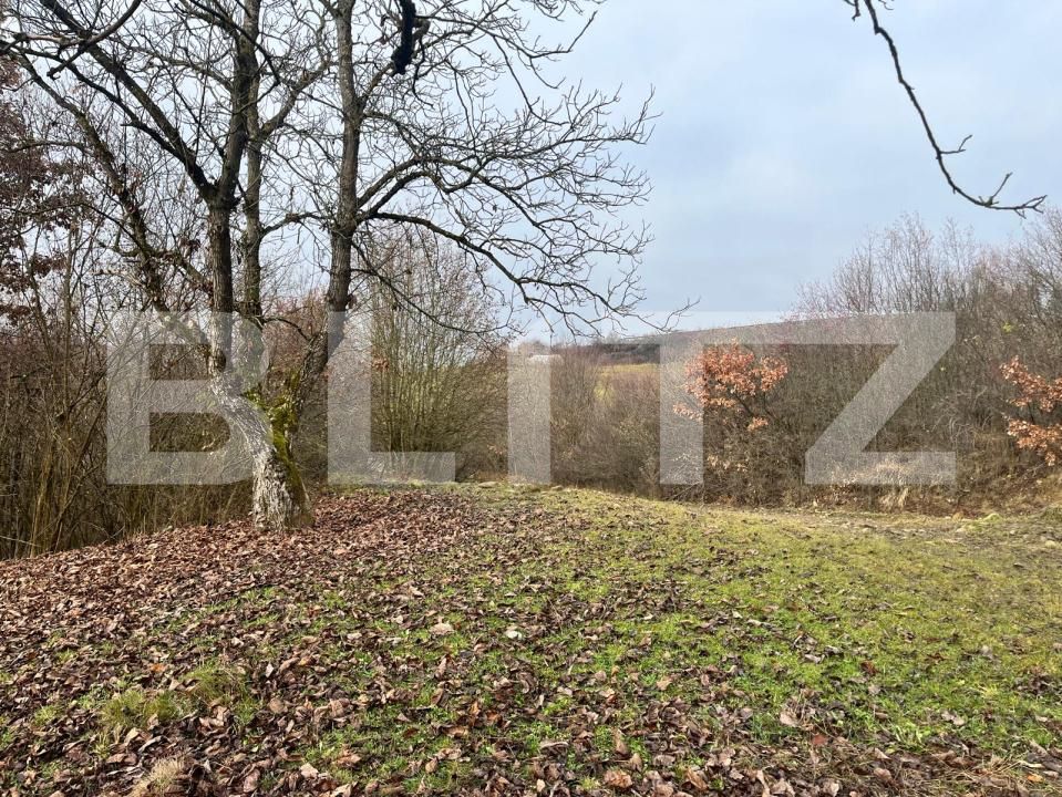 Teren de vânzare Exterior Est - 182197TV | BLITZ Bistriţa | Poza5