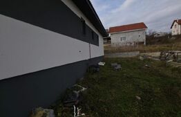 Casa Individuala 123 mp, la alb, curte amenajata 500 mp teren, cartier-Viisoara