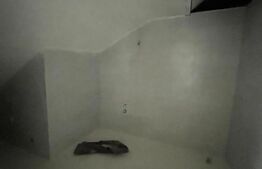 Apartament 1 camera, 34 mp, semifinisat, zona Piata Decebal