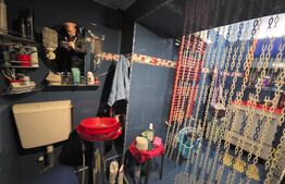 Casa, zona ultracentrala – ideala pentru locuinta sau activitate profesionala