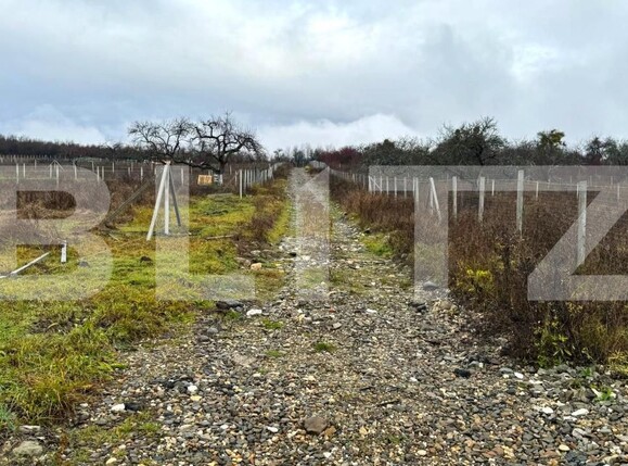 Teren de vânzare Sud - 182863TV | BLITZ Bistriţa | Poza6