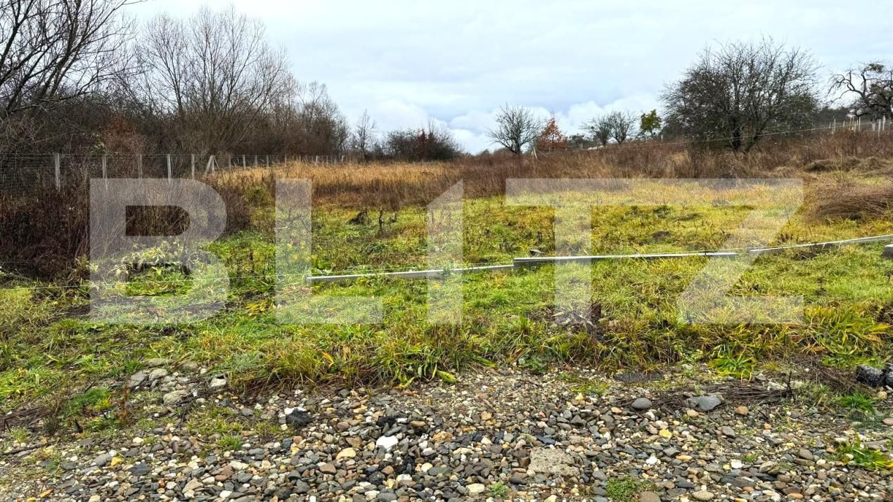 Teren de vânzare Sud - 182863TV | BLITZ Bistriţa | Poza7