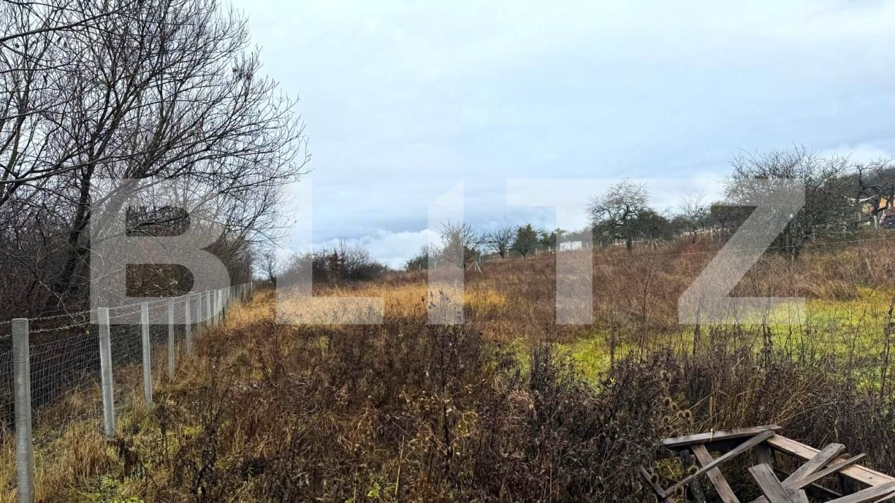 Teren de vânzare Sud - 182863TV | BLITZ Bistriţa | Poza5